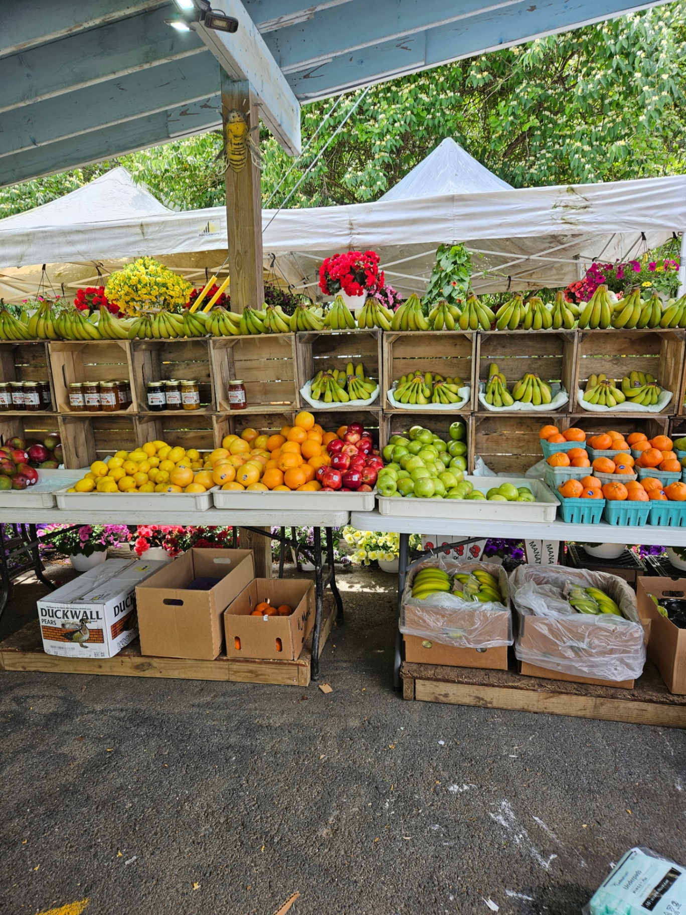 Fresh produce at Jenny's Market